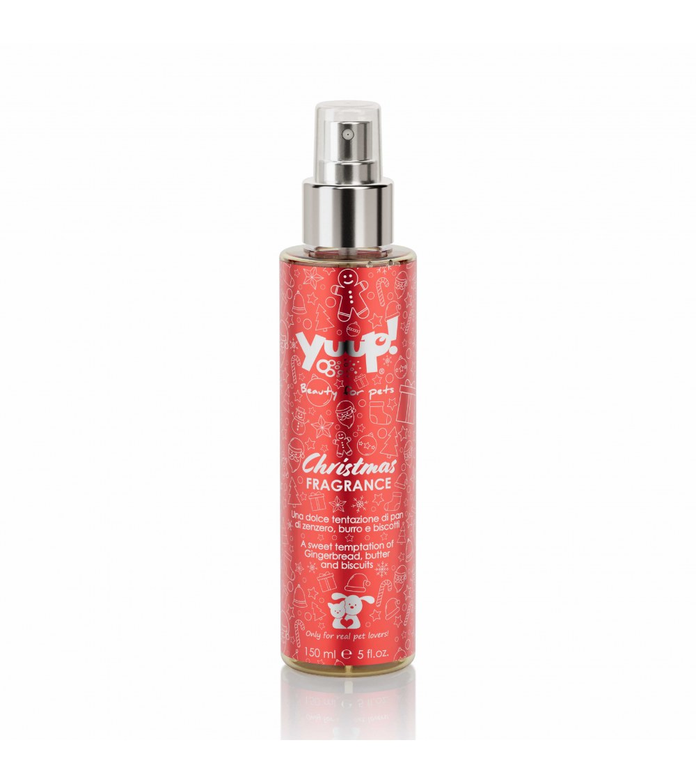 Christmas Duo - Shampoo & Fragrance - Yuup!