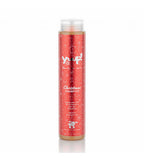 Christmas Duo - Shampoo & Fragrance - Yuup!