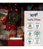 Christmas Duo - Shampoo & Fragrance - Yuup!