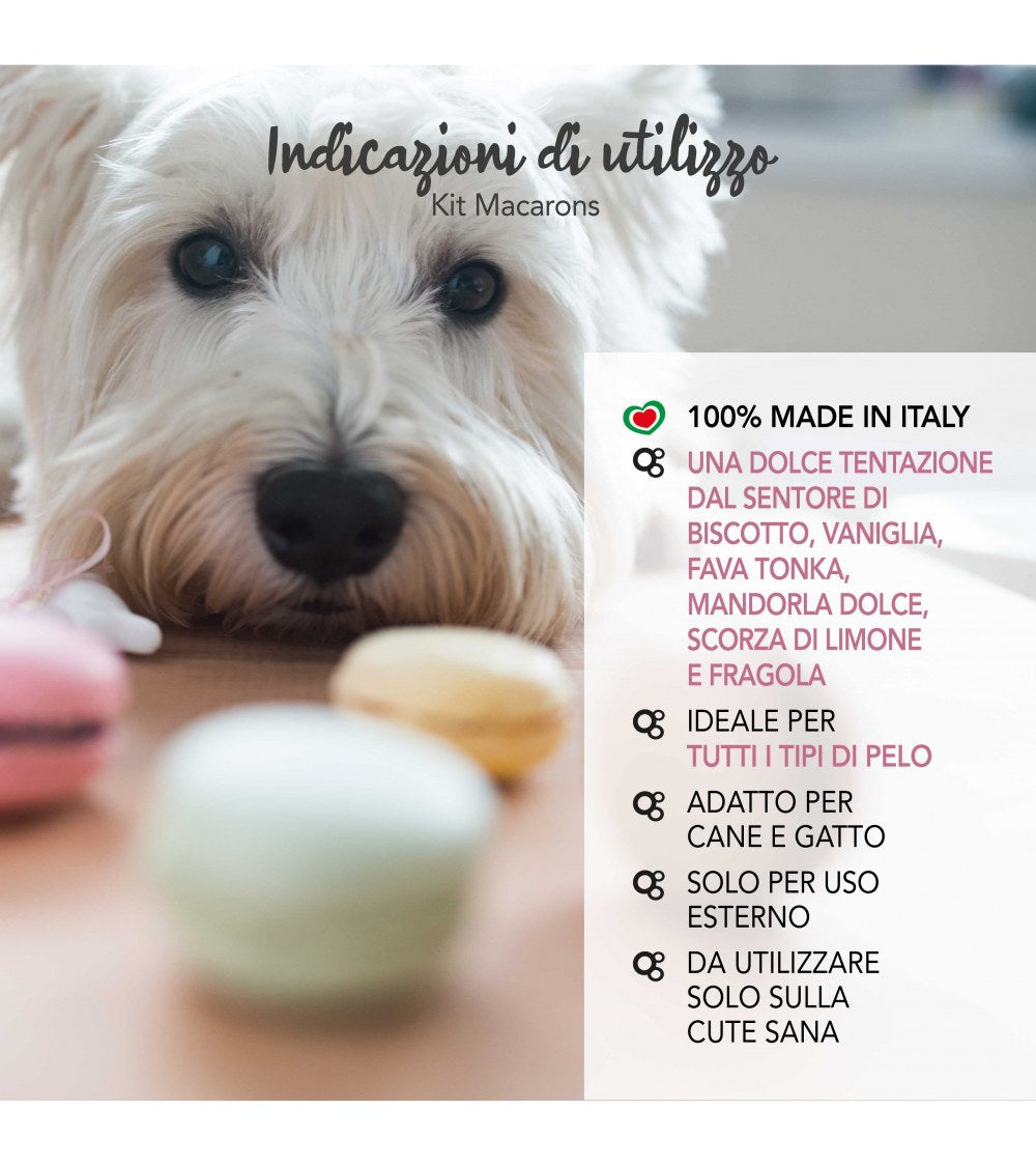 Yuup! Macarons duo - Shampoo e Fragrance - Yuup!