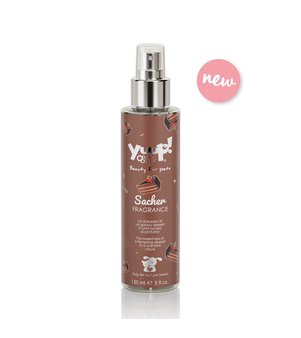 Yuup! Sacher Fragrance 150 ml - Yuup!